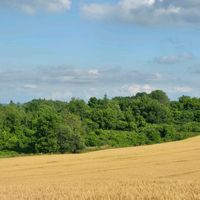 original sound - Space-Time