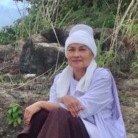 mam.mam113