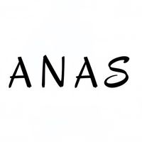 anas_mk8