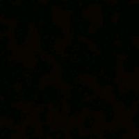 izabela.xss