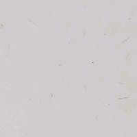 suara asli - Bundanya Dede