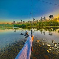 viet.ngo.chuyen.do.nam