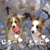 original sound - jsky602