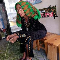 mesikonjo17