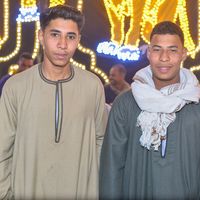 الصوت الأصلي