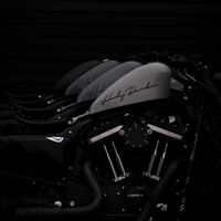 limitless_customs
