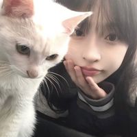 iser_mami