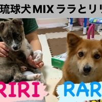 rara_riri_fam
