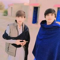 salmangulli78