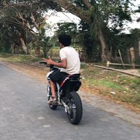 eldelasx4v250