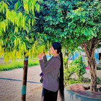 maya_ale_