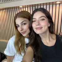 wlwcollection
