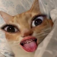 suara asli - Raaaa