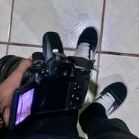 _cleudimarreis
