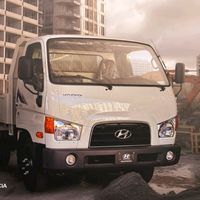 majidyahya31