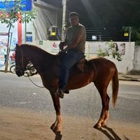 ronaldovicentedos03