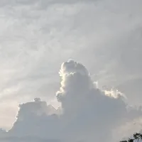 やめろや