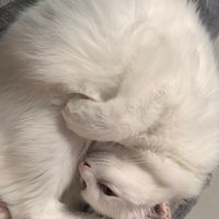 mynamenuay