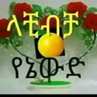 original sound - user1257407848668