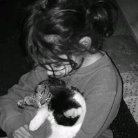 xx_nono.xn