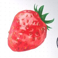 ichigo_518d