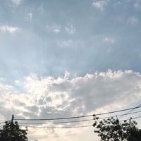 paadummazhai._