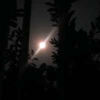 sumaiya.aktar9518