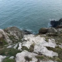 original sound - notebookskyiv