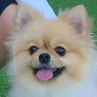 minjun8991