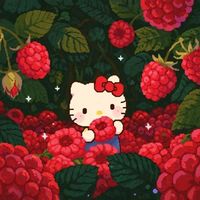 eveliyn.sll