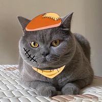 chi_withftu