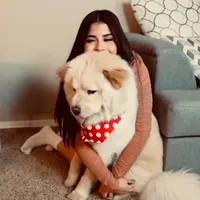 original sound - rzz.xkhaterine