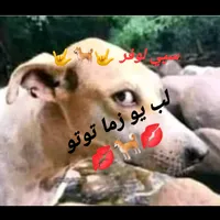 original sound - iiful__kala_kharab_222ii