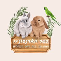 rabbitvillage1