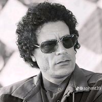 الصوت الأصلي