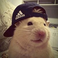 original sound - ko lwin (☞ ͡° ͜ʖ ͡°)☞ 2.0M