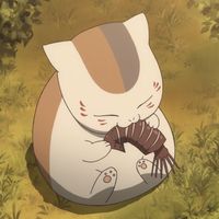 tama_030