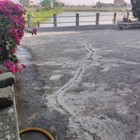 suara asli - mamah bunga