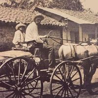 xthara_0636