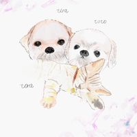 tiratoto_201805