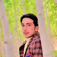 abidhusain4695