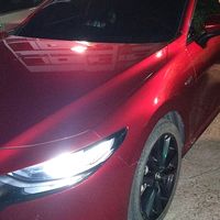 c77887788