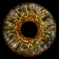 original sound - 8golden8eyes8