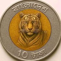 নিজস্ব শব্দ
