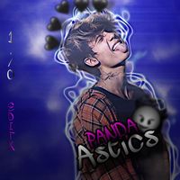 panda_asticx