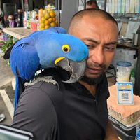 arunexoticpetssupply