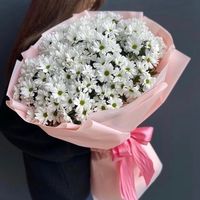 sevgi.aliyeva24