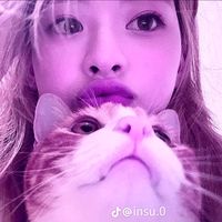 user6022703351305