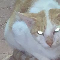 original sound - Muthu Tenkasi🙏🙏