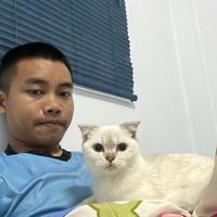 เสียงต้นฉบับ - รักแมว ไม่แซวสาว